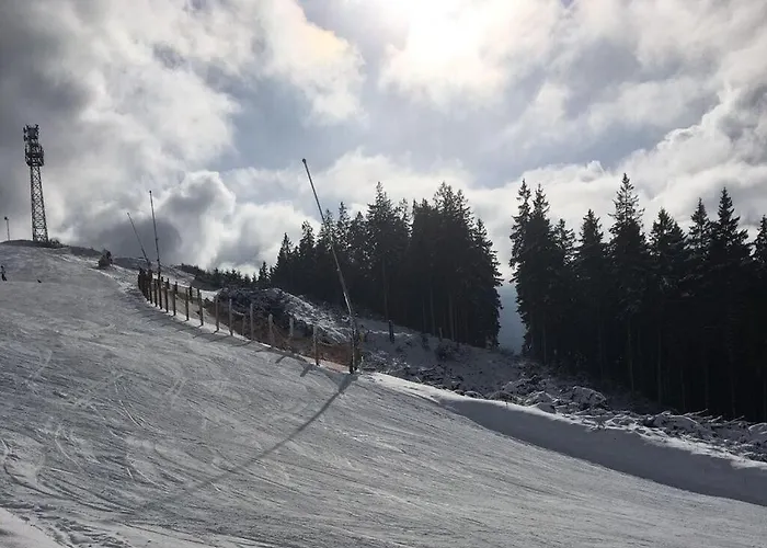 Comfortable Dom wakacyjny Winterberg