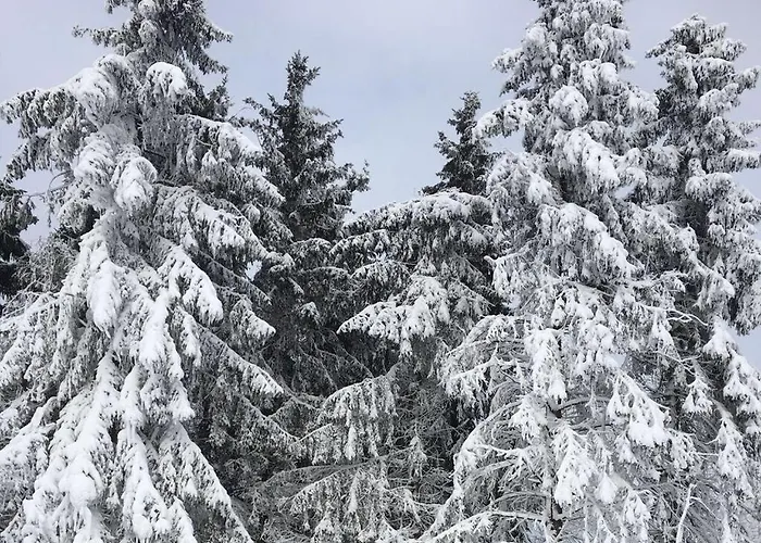 Dom wakacyjny Comfortable *